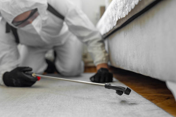 Professional Termite Control technician working in Jonesboro, IL
