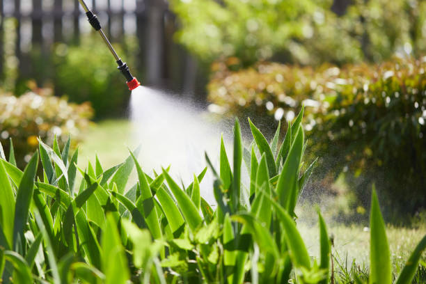 24/7 Emergency Termite Control experts in Jonesboro, IL