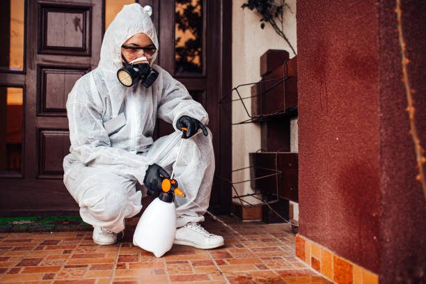 Reliable Termite Control contractor in Jonesboro, IL by Nex Pest Control